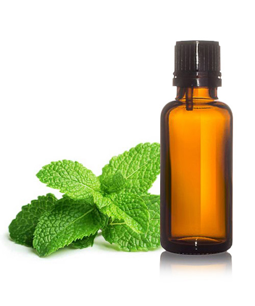Peppermint Oil 